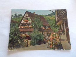 SCHWARZWALD BLACK FOREST BLUMEN UND WEINORT SASBACHWALDEN  IM BADISCHEN SCHWARZWALD ( ALLEMAGNE GERMANY ) - Sasbach