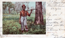 LOOKING FOR A JOB - CARTOLINA FP SPEDITA NEL 1902 - COPYRIGHT 1902 - BY DETROIT PHOTOGRAPHIC CO. - Black Americana