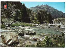 RIO CALDARES / CALDARES RIVER.- PANTICOSA - HUESCA.- ( ESPAÑA ) - Huesca