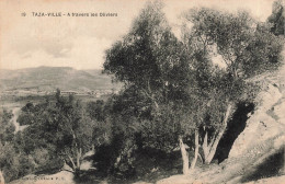 MAROC - Taza - Ville - À Travers Les Oliviers - Carte Postale Ancienne - Fez (Fès)