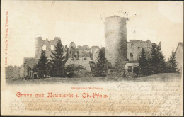 Gruss Aus Neumarkt I. Ob. Pfalz. Burgruine Wolfstein 1900 - Neumarkt
