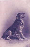 ANIMAUX & FAUNE - Chien - Dessin - Carte Postale Ancienne - Chiens