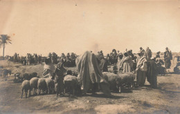 ALGÉRIE - Scènes & Types - Troupeau De Moutons - Animé - Carte Postale Ancienne - Szenen