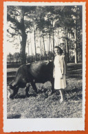 BULL AND GIRL, ORIGINAL PHOTO 1940 - Taureaux