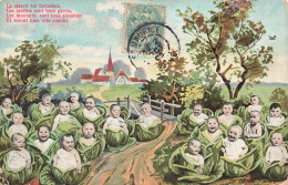 FANTAISIES - Bébés - Bébés Dans Des Choux - Carte Postale Ancienne - Bebes