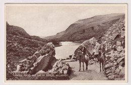 AK 197669 IRELAND - Killarney - Turnpike Rocks And Gap Of Dunloe - Kerry