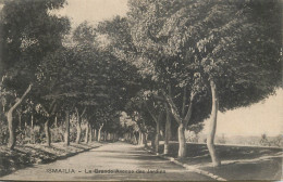 Egypt Ismailia La Grande Avenue Des Jardins - Ismaïlia