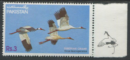 Pakistan:Unused Stamp Birds, Siberian Cranes, Grus Leucogeranus, 1983, MNH - Kraanvogels En Kraanvogelachtigen