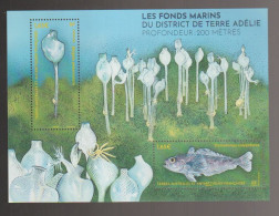 TAAF 2024 - Les Fonds Marins Du Terre Adelie Bloc Mnh** - Nuevos