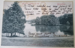 Carte Postale Non Circulée - BELGIQUE, BRUXELLES, Bois De La Cambre, Le Lac - Bossen, Parken, Tuinen