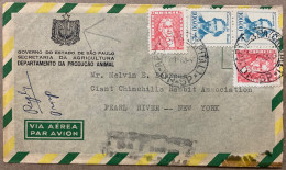 BRAZIL1968, COVER USED TO USA, ADVERTISING COVER, AGRICULTURE MINISTRY, ANIMAL & RABBIT BREEDER, IMPORT- EXPORT, ENCLOSE - Lettres & Documents