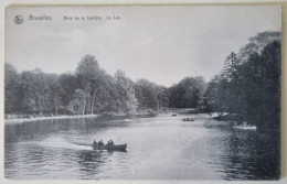 Carte Postale Non Circulée - BELGIQUE, BRUXELLES, Bois De La Cambre, Le Lac - Forêts, Parcs, Jardins