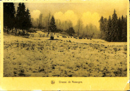 Belgique - Luxembourg - Chasse De Nassogne - Nassogne