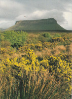 Ben Bulben Mountain - Sligo