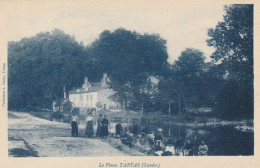 CARTE POSTALE ORIGINALE ANCIENNE : TARTAS LE VIEUX  ANIMEE LANDES (40) - Tartas