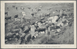 Queensland - Postal Stationery: 1910, 1d Red QV Black & White Pictorial Issue Po - Covers & Documents