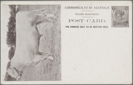 South Australia - Postal Stationery: 1908, 1d Black-brown QV Postcard Scenic Iss - Other & Unclassified