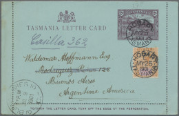 Tasmania -  Postal Stationery: 1901, 2d Violet On Light Blue Lettercard With Pic - Covers & Documents