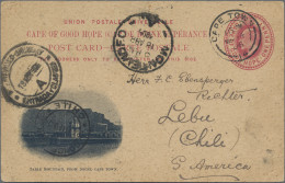 Cape Of Good Hope - Postal Stationery: 1906 Postal Stationery Picture Card KEVII - Kaap De Goede Hoop (1853-1904)