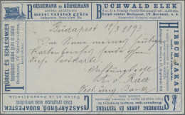 Thematics: Advertising Postal Stationery: 1892/1897, Ungarn, 2 Kr Blau Privat-An - Andere