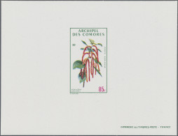 Thematics:  Flora, Botany, Bloom: 1971, KOMOREN: Blüten Kompletter Satz Mit Fünf - Otros