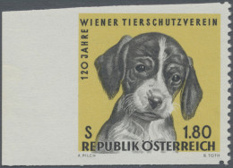 Thematics: Animals-dogs: 1966, 120 Jahre Wiener Tierschutzverein, Dreiseitig Ung - Perros