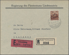 Liechtenstein - Dienstmarken: 1933, Dienstmarke II, 1.20 Fr. Schloß Vaduz Kleine - Service