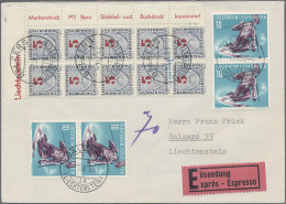 Liechtenstein - Portomarken: 1955, Nachportomarken Ziffer Mit Posthorn 5 Rp. Im - Impuesto