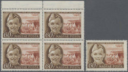 Hungary: 1950, International Children's Day, 60f. With Wrong Inscription "UTANPO - Neufs