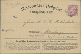 Norddeutscher Bund - Marken Und Briefe: 1869, 1 Gr. Karmin, Insgesamt 5 Korrespo - Other & Unclassified