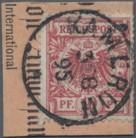 Deutsche Kolonien - Kamerun-Vorläufer: 1895, Adler, 10 Pfg. Mittelkarminrot, Auf - Camerún