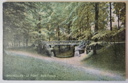 Carte Postale Non Circulée - BELGIQUE, BRUXELLES, Le Pont - RUSTIQUE - Bossen, Parken, Tuinen