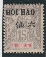 HOI-HAO - N°21 * (1903-04) 15c Gris - Nuevos