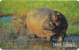 @+ Tanzanie - Hippopotomus - TTCL - Tanzania