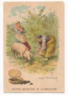 Ancien Chromo Histoire Anecdotique De L'alimentation Les TRUFFES Cochon Truffier Magasins De La Glaneuse Saumur - Autres & Non Classés