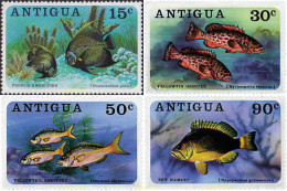 33669 MNH ANTIGUA 1976 PECES - Other & Unclassified