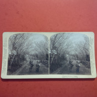 PHOTO STEREO JEUNE MERES DU JAPON - Stereoscopic