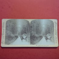 PHOTO STEREO CHAMP DE TAMBOUS KYOTO JAPON - Stereo-Photographie