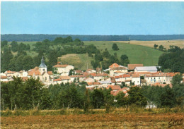Blaiserives, Doulevant-le-Château (52 - Haute-Marne) - Vue Générale - FF.3.304-W. - Doulevant-le-Château