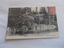 SEIGNELAY ( 89 Yonne ) VUE SUR L ETANG  PRISE DU PARC ANIMEES 1907 - Seignelay