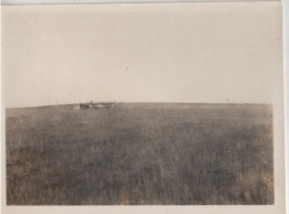 Campo 12cm X 9cm 1930  - 5915 - América
