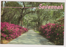 AK 197693 USA - Georgia - Savannah - Forsyth Park - Savannah