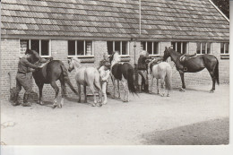 Barneveld  ,  Boerderij  Ponyrijschool " De Burght " - Barneveld