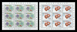 Turkey 2022 Mih. 4700/01 Kites (M/S) MNH ** - Ungebraucht