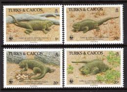 Turks & Caicos Islands 1986 Turks & Caicos Ground Iguana Set MNH (SG 888-891) - Turks And Caicos