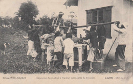 LAOS Préparation D'un Bufflon à L'institut Vaccinogène Du Tranninh Raquez Série D N° 17  Indochine Indochina - Laos