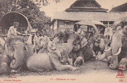 LAOS - Elépants Au Repos Cliché Raquez Decoly N° 33 Indochine Indochina Luang-Prabang éléphant Asatique - Laos