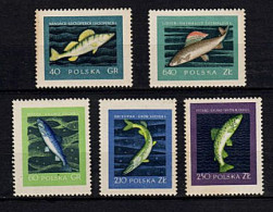 291 POLOGNE POLSKA 1958 -Yvert 928/32 - POISSONS Saumon Truite ... - Neuf ** (MNH) Sans Trace De Charniere - Neufs