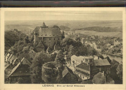 41332800 Leisnig Schloss Mildenberg Und Umgebung Leisnig - Leisnig