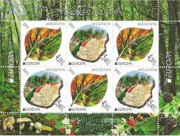 MOLDAVIA - EUROPA 2011 -TEMA ANUAL  " BOSQUES".- HOJA BLOQUE De 3 SERIES -DENTADA (PERFORATED) - 2011